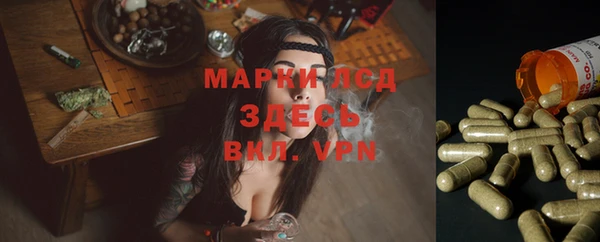 прущие крисы Аркадак