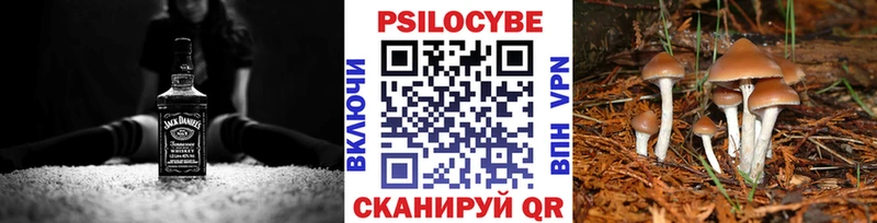 цена наркотик  Миллерово  Псилоцибиновые грибы мухоморы 